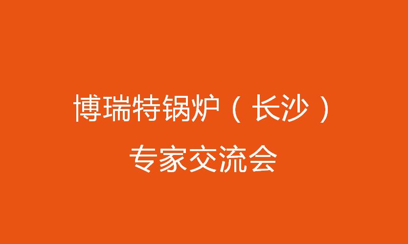 博瑞特鍋爐（長沙）專家交流會圓滿落幕！